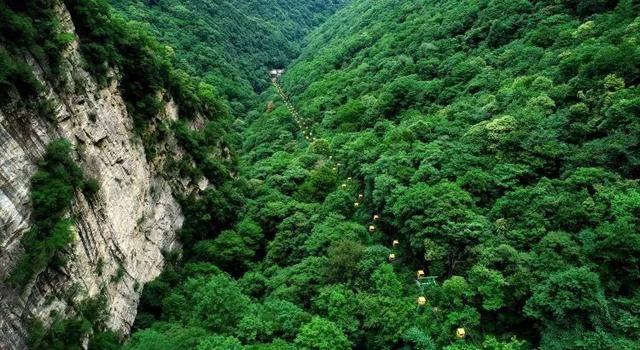 喜欢一个人真的藏得住吗?-权威问答平台